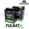 Battery Fulbat B38-6A GEL (13Ah)