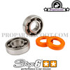Tuning Kit Cylinder with Crankshaft Stage6 R/T 95cc, 14mm for Derbi