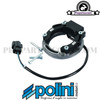 Ignition Stator Polini PVL for Minarelli & Piaggio