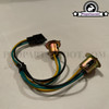 Front Light Sockets Wire - (PGO Big-Max)