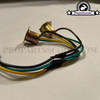 Front Light Sockets Wire - (PGO Big-Max)