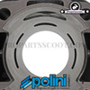 Cylinder Kit Polini Sport 70cc, 10mm Cast Iron for CPI, Keeway 50cc 2T