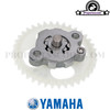 Oil Pump Assy. for Yamaha Bws/Zuma 50F & X 50 2012+