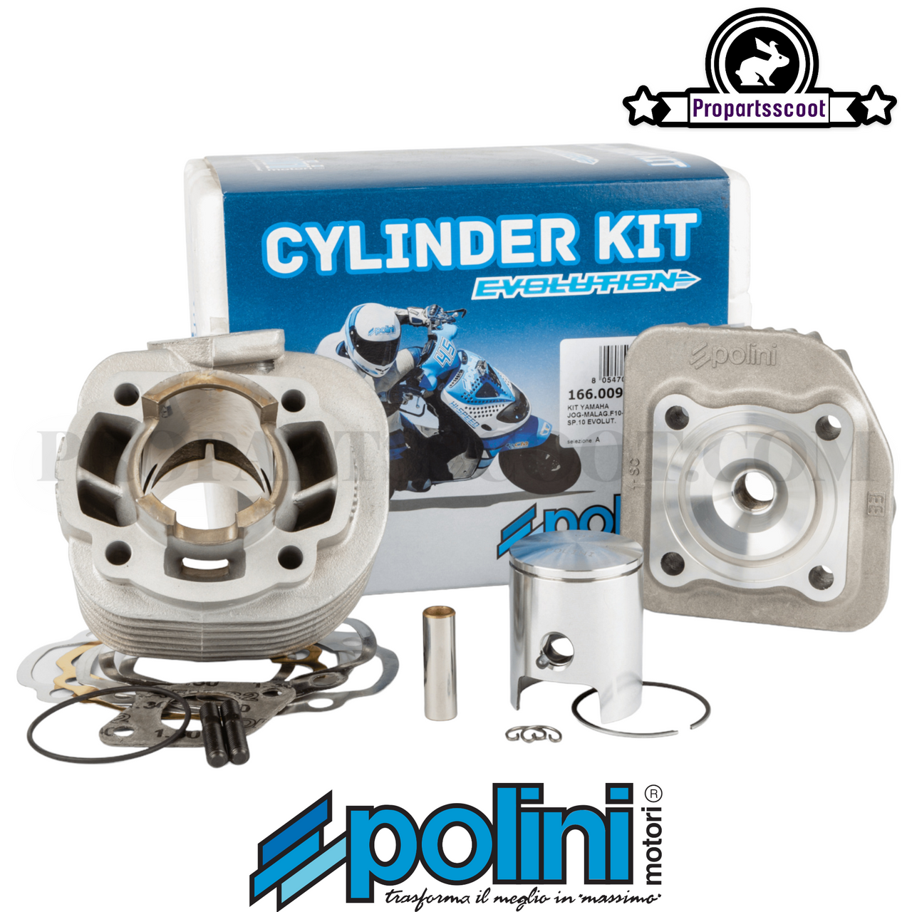 Pest Profit indlæg Cylinder Kit Polini Evolution 50cc (10mm) for Minarelli Horizontal AC