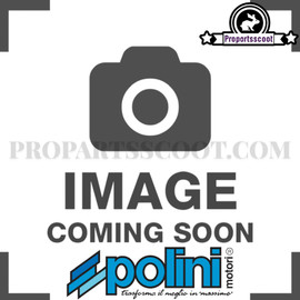 FKM Oil Seals Crankshaft for Piaggio 50cc 2T