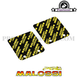 Reeds Malossi VL14 MHR for Minarelli Horizontal