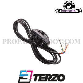 Terzo Switch with Horn, Indicator Light and Lights