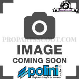 Gasket Set Polini P.R.E 4 100cc