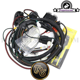 Engine Swap Harness PSP for Honda Ruckus GY6