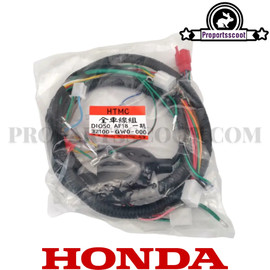 Wire Harness Original for Honda Dio 50cc AF18