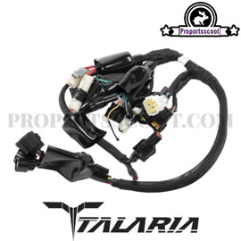 Harness Assembly Original for Talaria Sting MX3