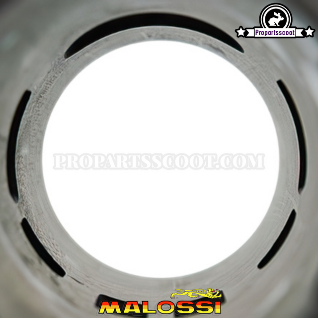 Kit cylindre Malossi Sport 70ccm axe de piston 10mm pour Minarelli LC