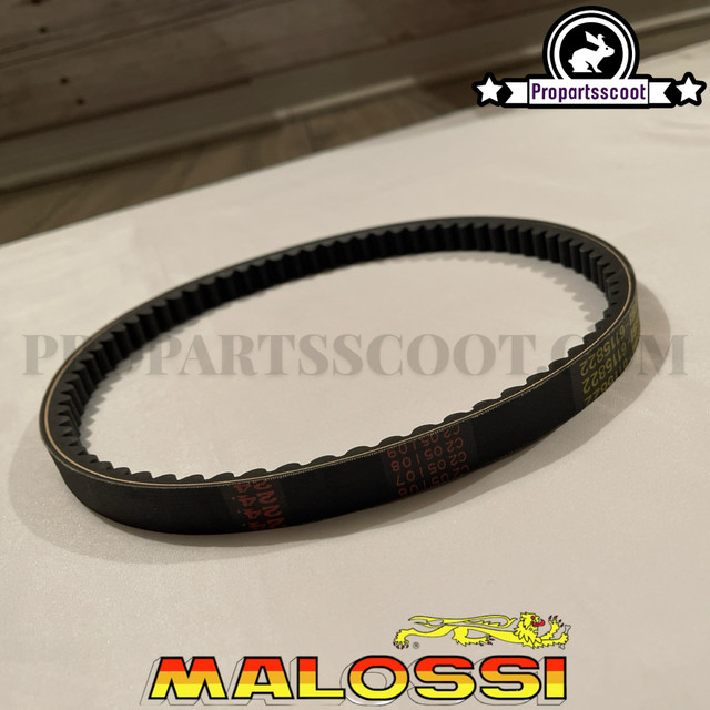 Drive Belt Malossi (X-Kevlar) - Overrange 2013 - (Minarelli Long)