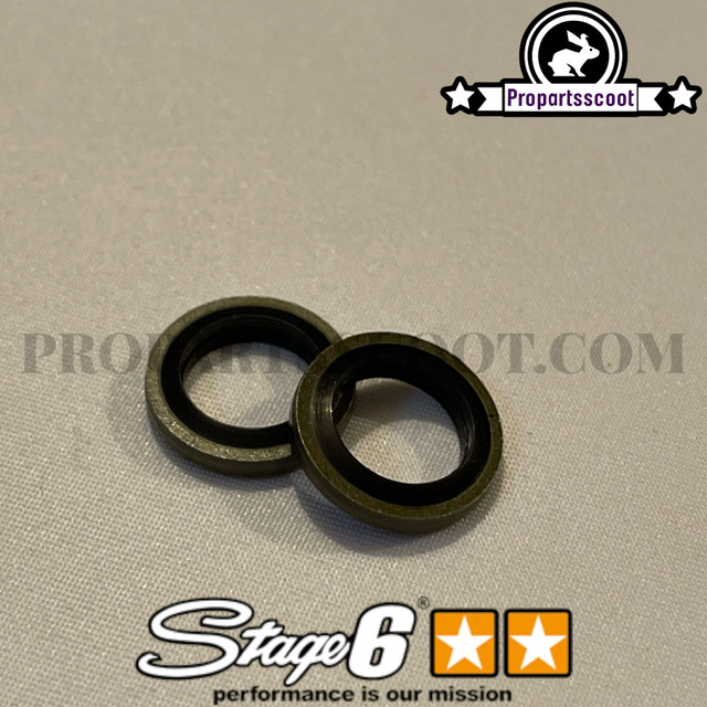 Banjo Bolt With Gasket Stage6 R/T for 4-Piston Caliper Stage6 R/T MKII