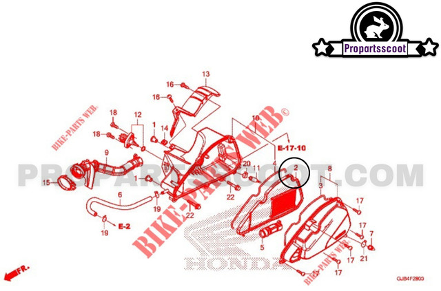 Air Filter Insert for Honda Ruckus & Get 50cc 4T