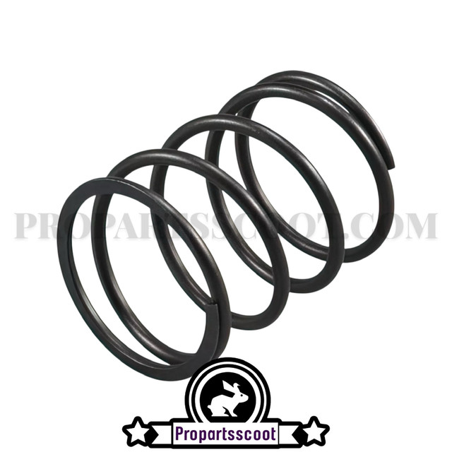 Maintenance / Repair Kit for Minarelli Horizontal