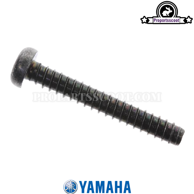 Fan & Cylinder Cover Screw for Yamaha Bws/Zuma 2002-2011 — (Long Type)