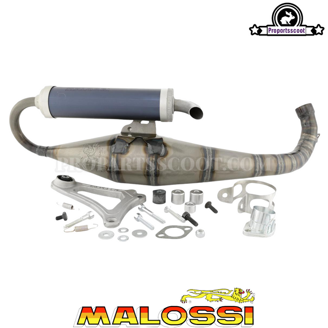 Exhaust Malossi MHR Team II - Minarelli Horizontal