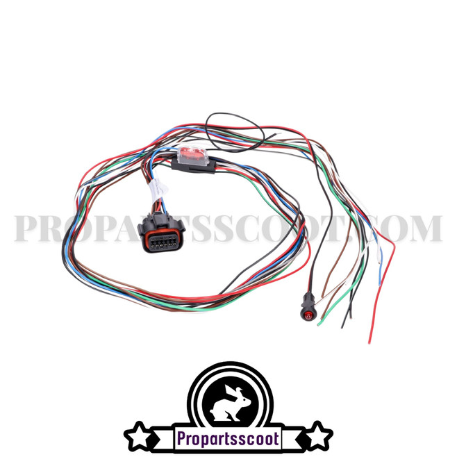 Wiring Harness HPS 940 Patrol Line Alarm System Wiring Harness HPS 940 Patrol Line Alarm System