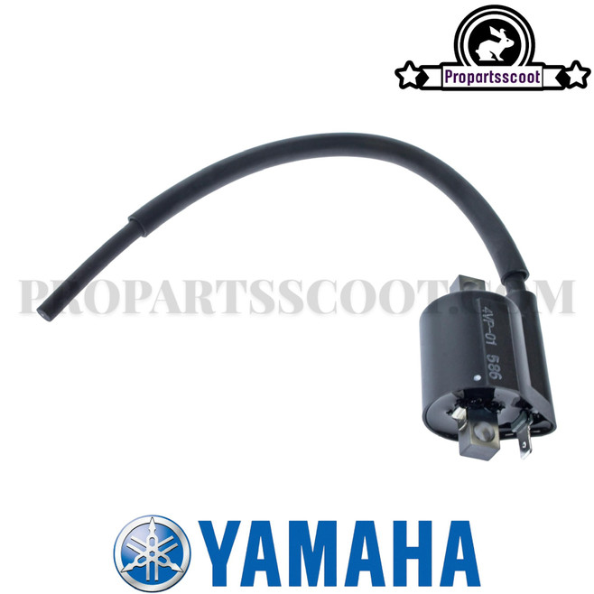 Ignition Coil for Yamaha Bws/Zuma 2002-2011