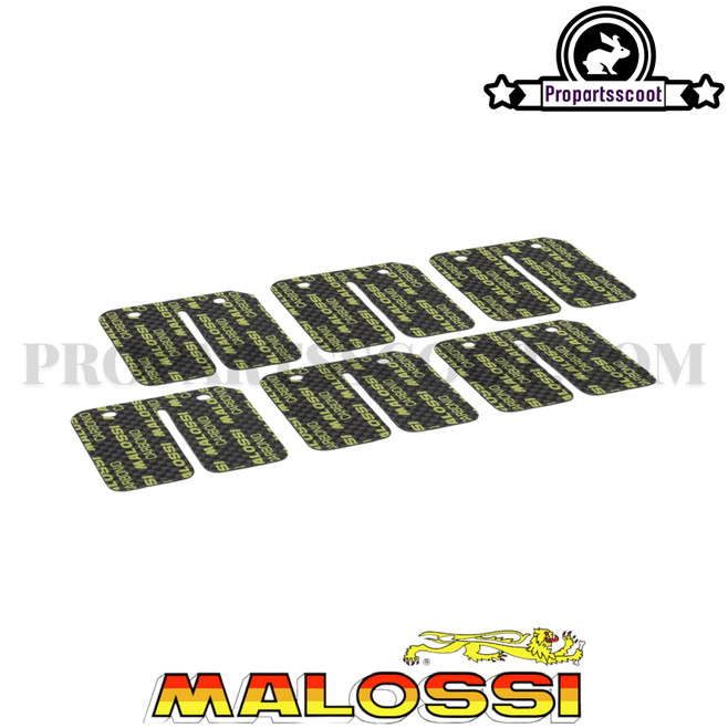 Reeds Malossi VL9 & VL12 for Minarelli Horizontal & Dio, Elite 50cc 2T Reeds Malossi VL9 & VL12 for Minarelli Horizontal & Dio, Elite 50cc 2T