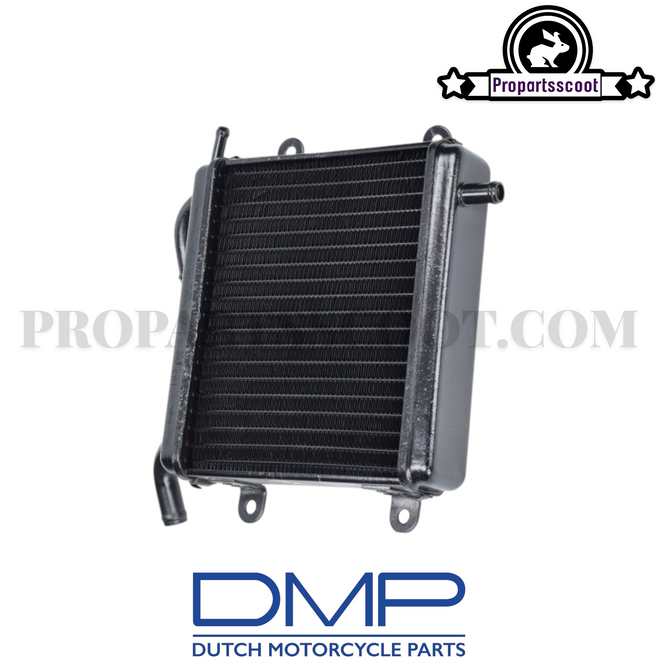 Radiator DMP for Yamaha Aerox 50cc 2T (LC)