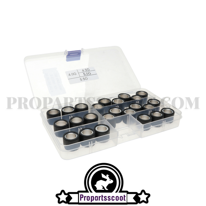 Variator Roller Weights - 19x15,5 - Assortment