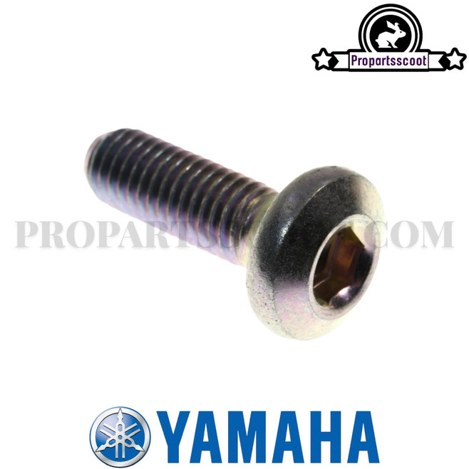 Disc Brake Screw (1) for Yamaha Bws/Zuma 2002-2011
