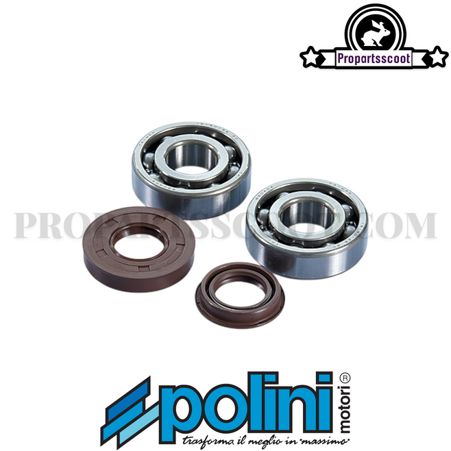 Original Crankshaft Adj.Kit for Minarelli Horizontal / Vertical