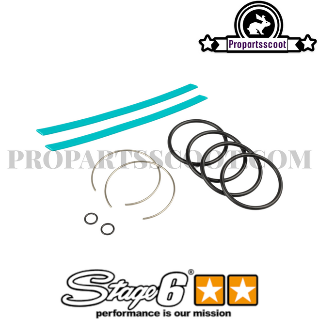 Seal Kit Stanchion Stage6 R/T Upside-Down Fork 650mm