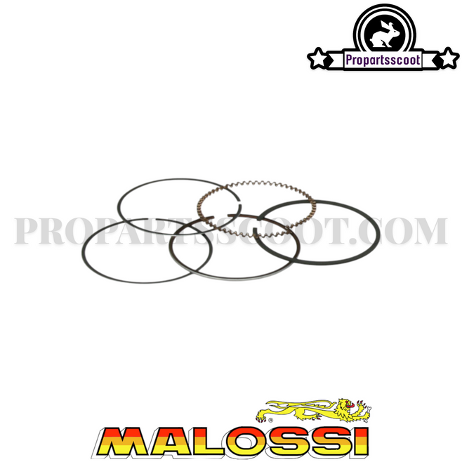 Segment 80cc, 49mm Malossi for Piaggio 50cc 4T