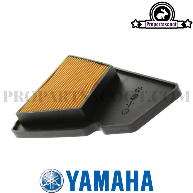 Air Filter Insert for Yamaha Bws/Zuma 50F & X50 2012+
