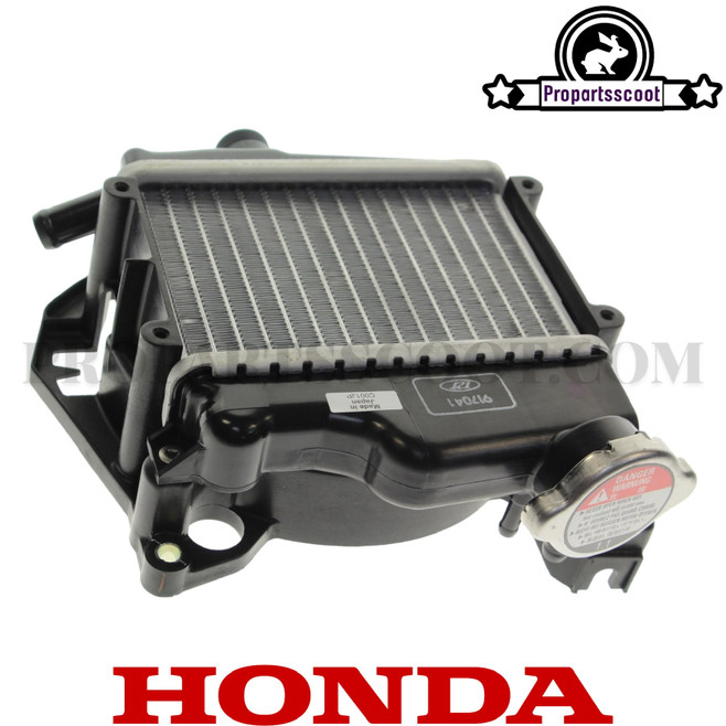 Radiator Assy. for Honda Ruckus