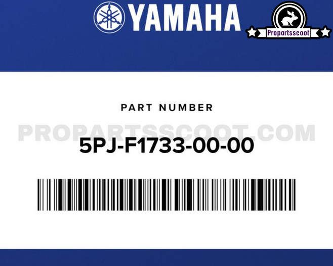 Sub Tank Oil for Yamaha Bws/Zuma 2002-2011