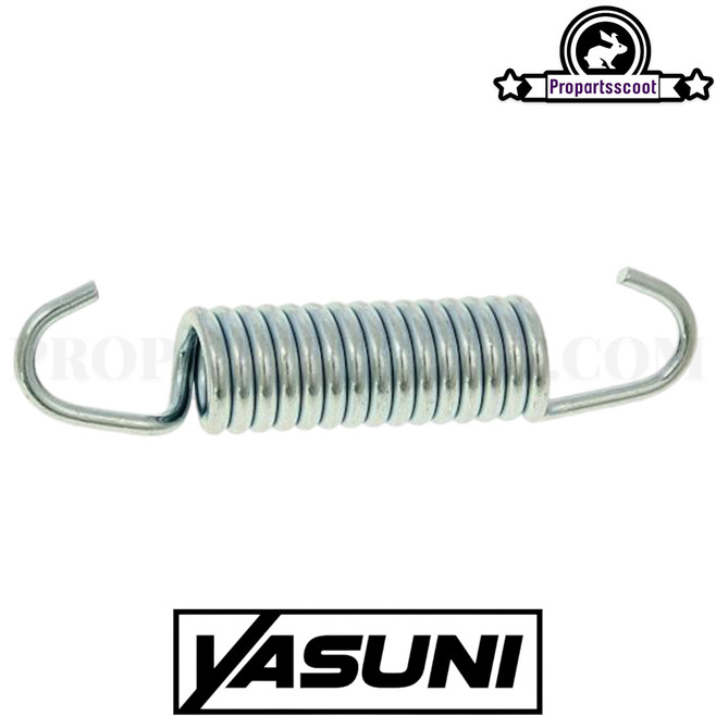 Spring Exhaust Yasuni (55mm)