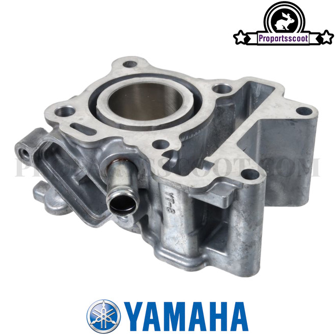 Cylinder Original 50cc for Yamaha Bws/Zuma 50F & X 50 2012+ & Vino 06-15 4T