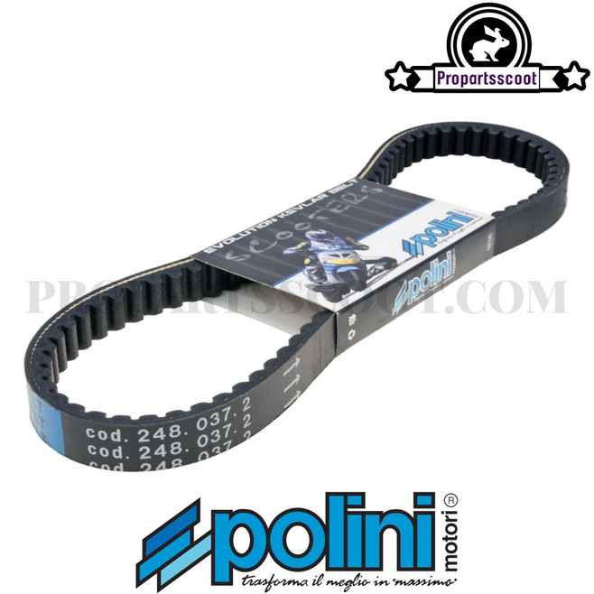 Drive Belt Polini Evolution for Piaggio