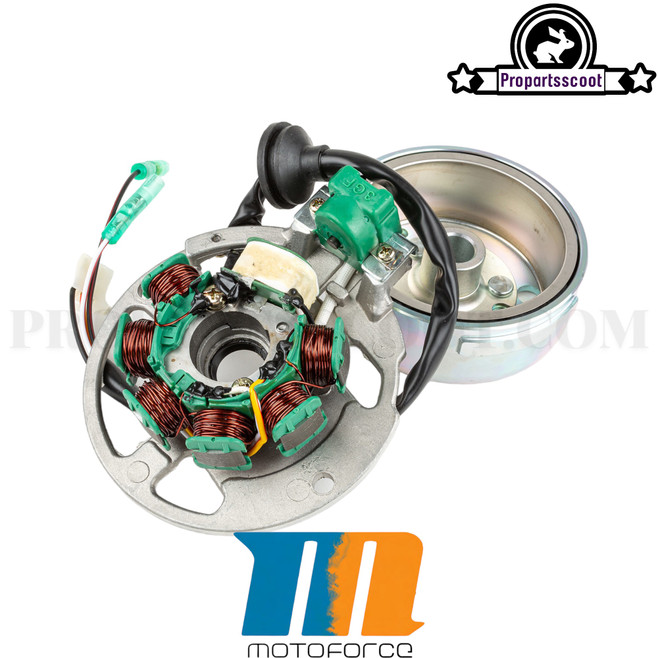 Replacement Ignition Original for Minarelli Horizontal