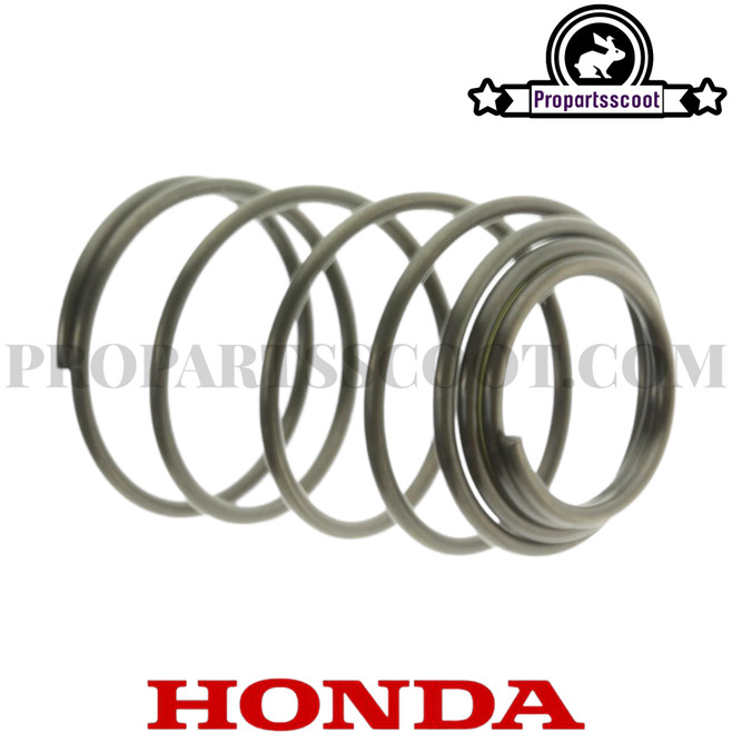 Spring Compression For Drain plug (Honda Ruckus & GET 50cc 4T)
