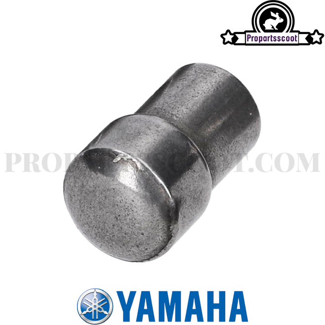 Sliding Sheave Guide Pin for Yamaha Bws/Zuma 50F & X 50 2012+ 4T