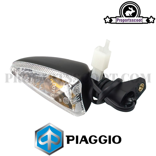 Indicator Left Rear Original for Piaggio