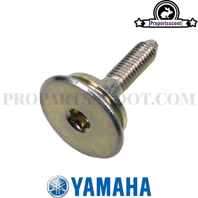 Bolt for Timming Chain Guide for Yamaha Bws/Zuma 50F & X 50 2012+ 4T