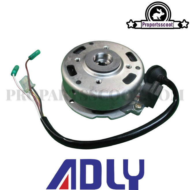 Generator Assembly Original for Adly Bullseye & Silver Fox & GTA 50cc 2T