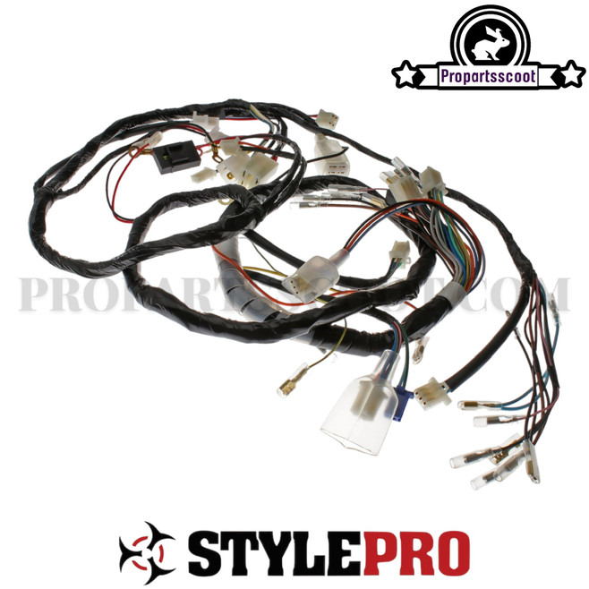 Wiring Harness for PGO Big-Max 50cc 2T