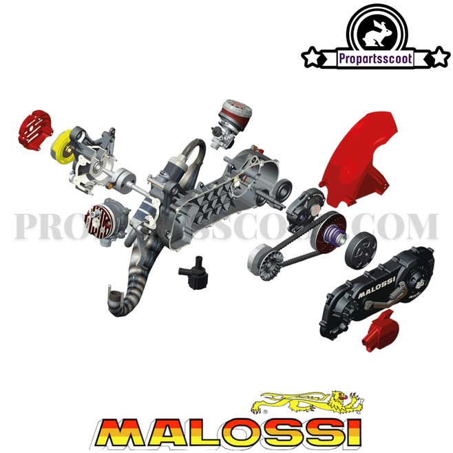 Kit Engine Malossi C-One 70cc (Minarelli Fixation)