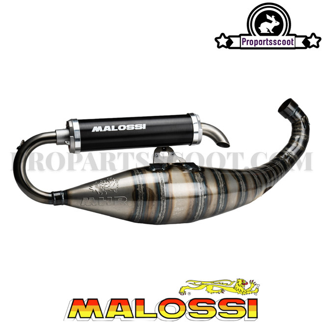 Exhaust System Malossi MHR for Malossi RC-One & C-One