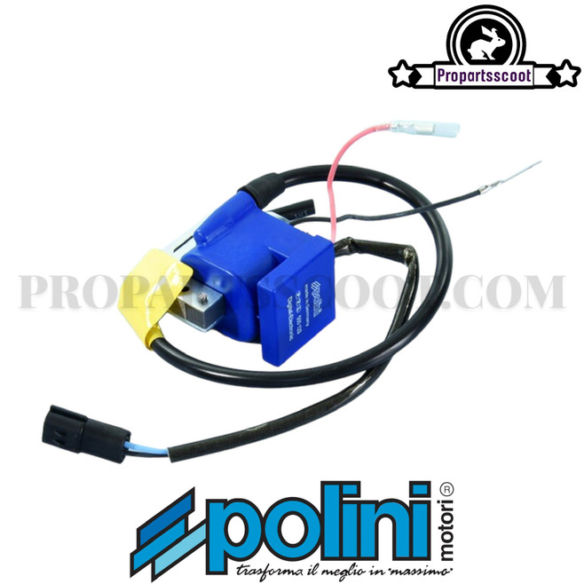 CDI Unit / Coil for Inner Rotor Ignition Polini Evolution PVL Digital