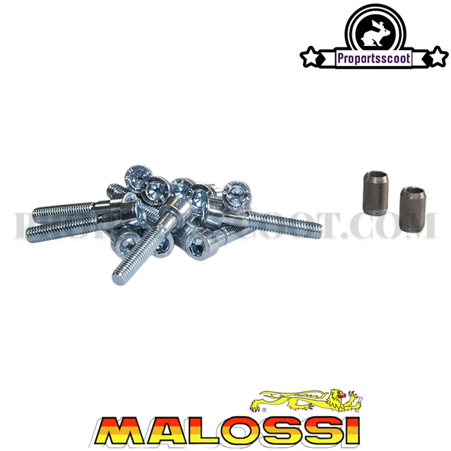 Bolt Kit for Malossi Air Force