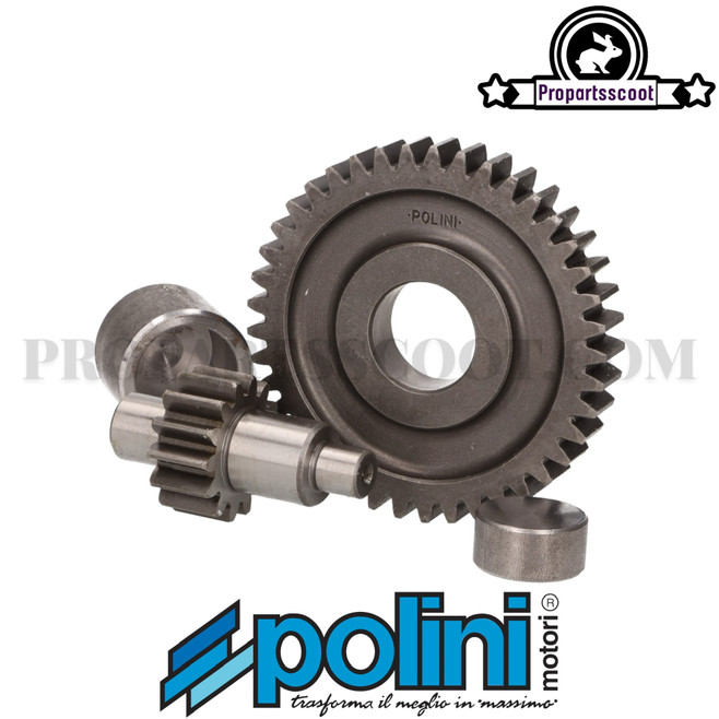 Secondary Gear Kit Polini 15/42 for Minarelli