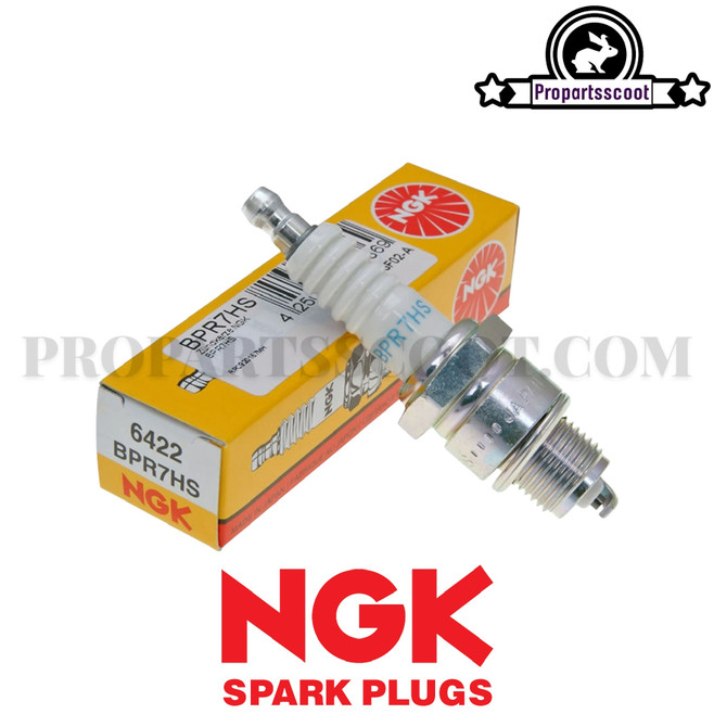 Spark Plug NGK BPR7HS (6422)